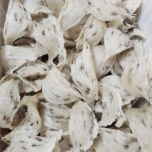 Yến sào Nha trang Thô Nguyên Tổ Còn Lông loại 1 - 100g